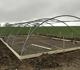 Poly Tunnel Aberystwyth